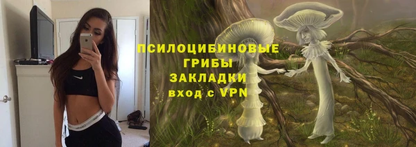 дживик Новозыбков