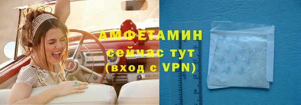 дживик Новозыбков
