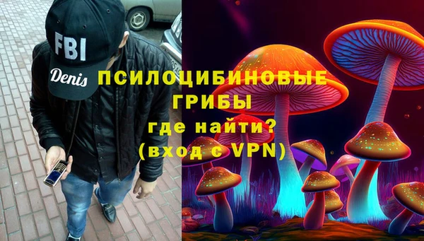 мдпв Новодвинск