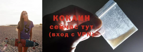 дживик Новозыбков