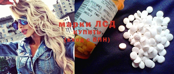 дживик Новозыбков