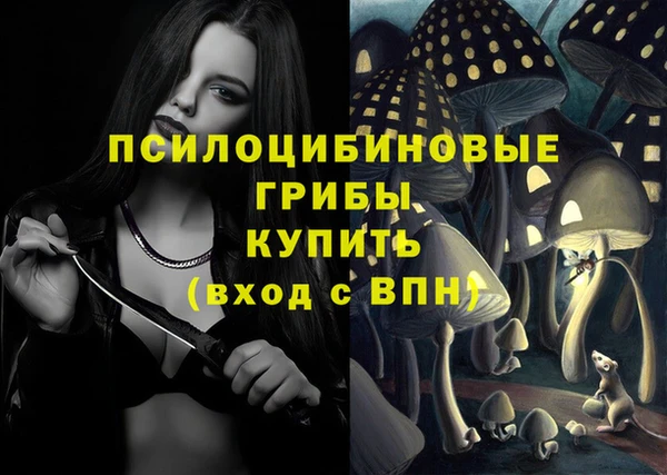 дурь Новокубанск