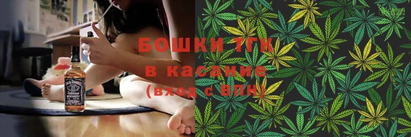 мдпв Новодвинск