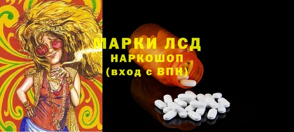 дживик Новозыбков