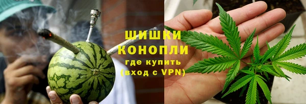 дживик Новозыбков